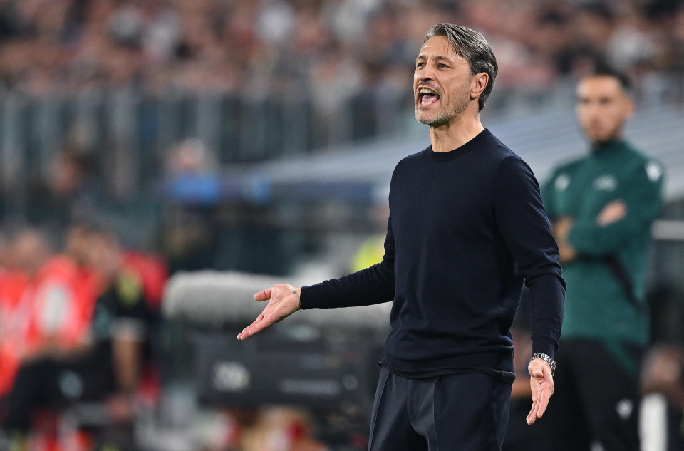 维奇庆祝入 维奇庆祝入