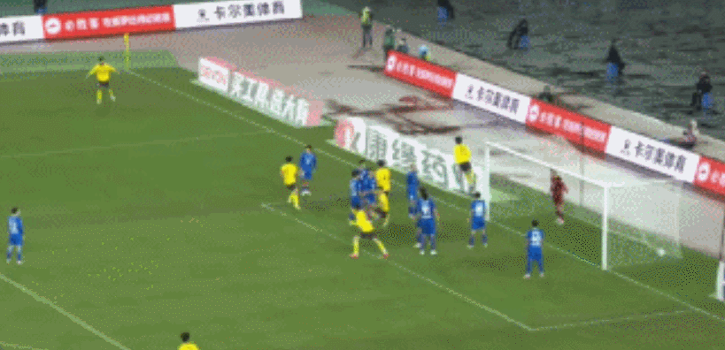 杨笑天开出 杨笑天开出